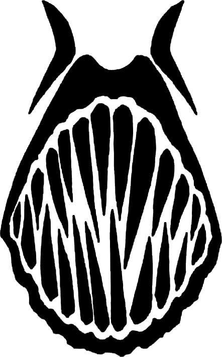 Noctuku